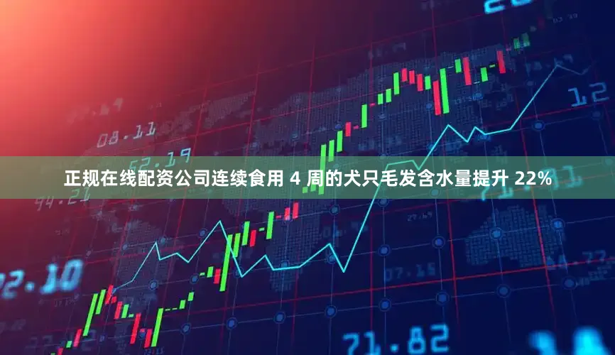 正规在线配资公司连续食用 4 周的犬只毛发含水量提升 22%